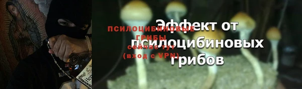 таблы Горняк