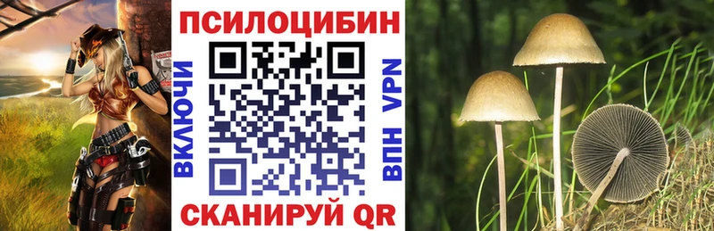 Галлюциногенные грибы прущие грибы  Иваново 